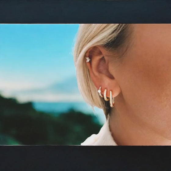 Composition 2 oreilles Mina