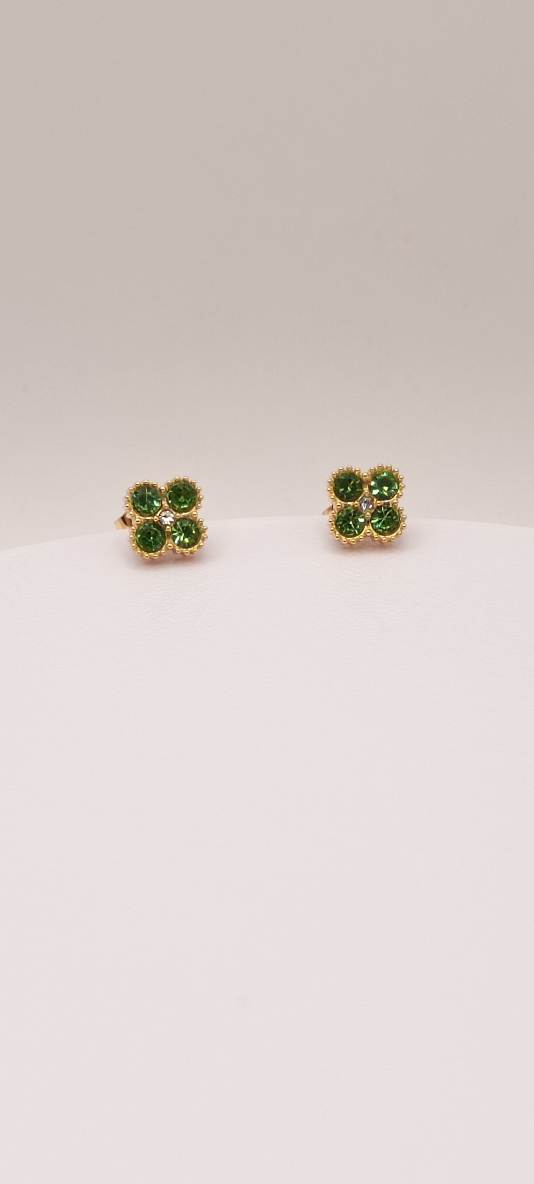 Puce d'oreilles espoir 💙💚❤️🖤