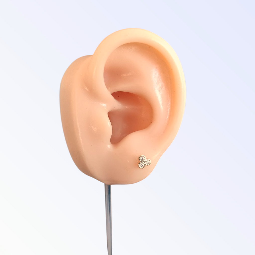 Puce d'oreille