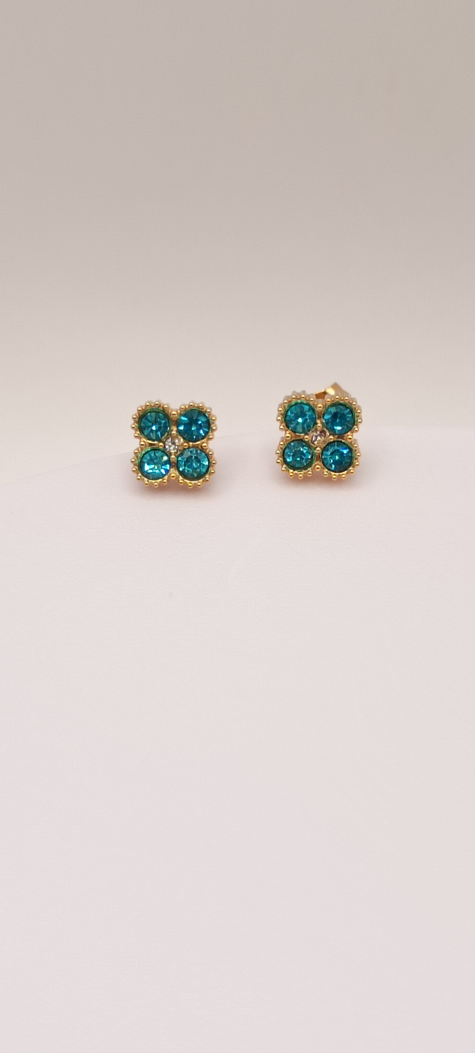 Puce d'oreilles espoir 💙💚❤️🖤
