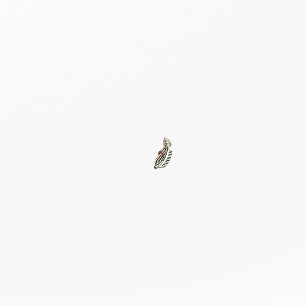 Plume