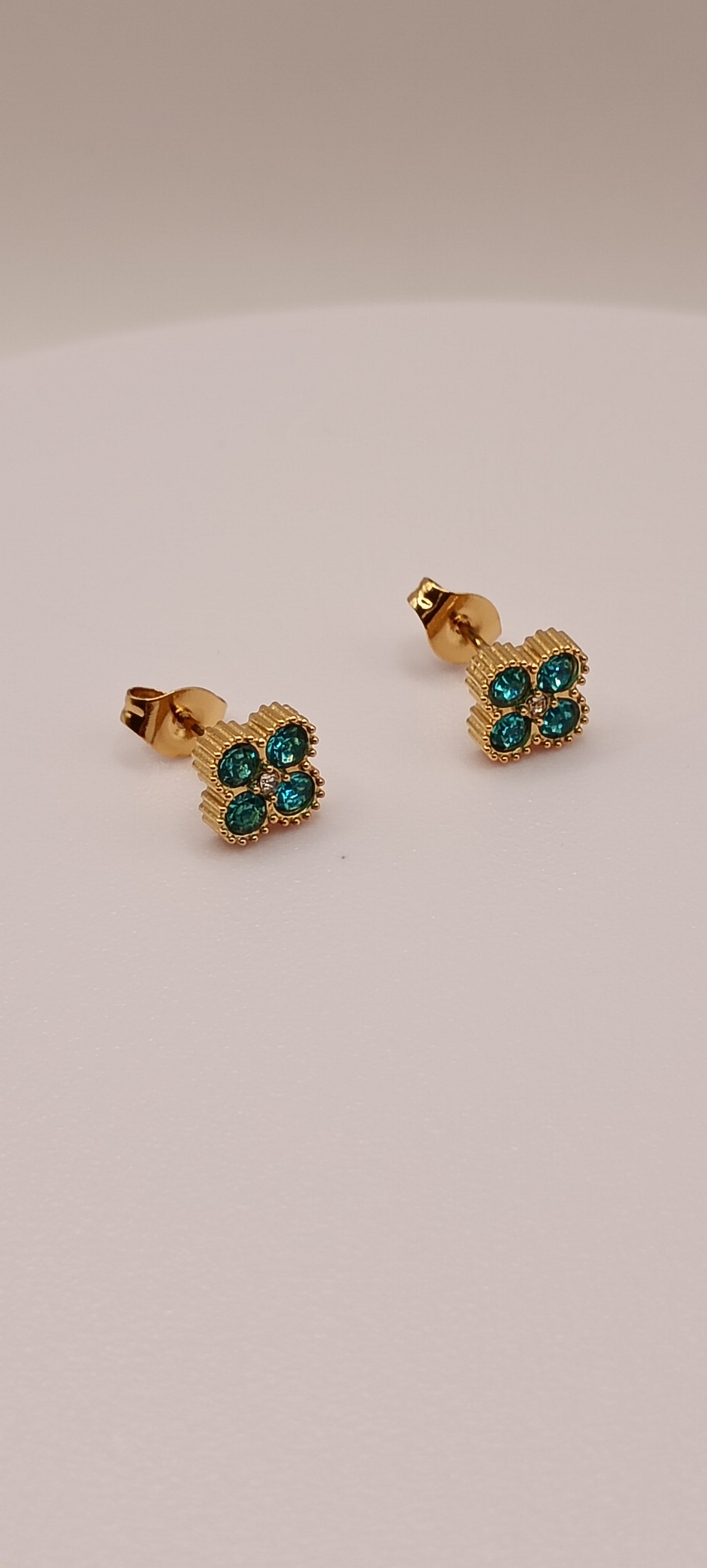 Puce d'oreilles espoir 💙💚❤️🖤
