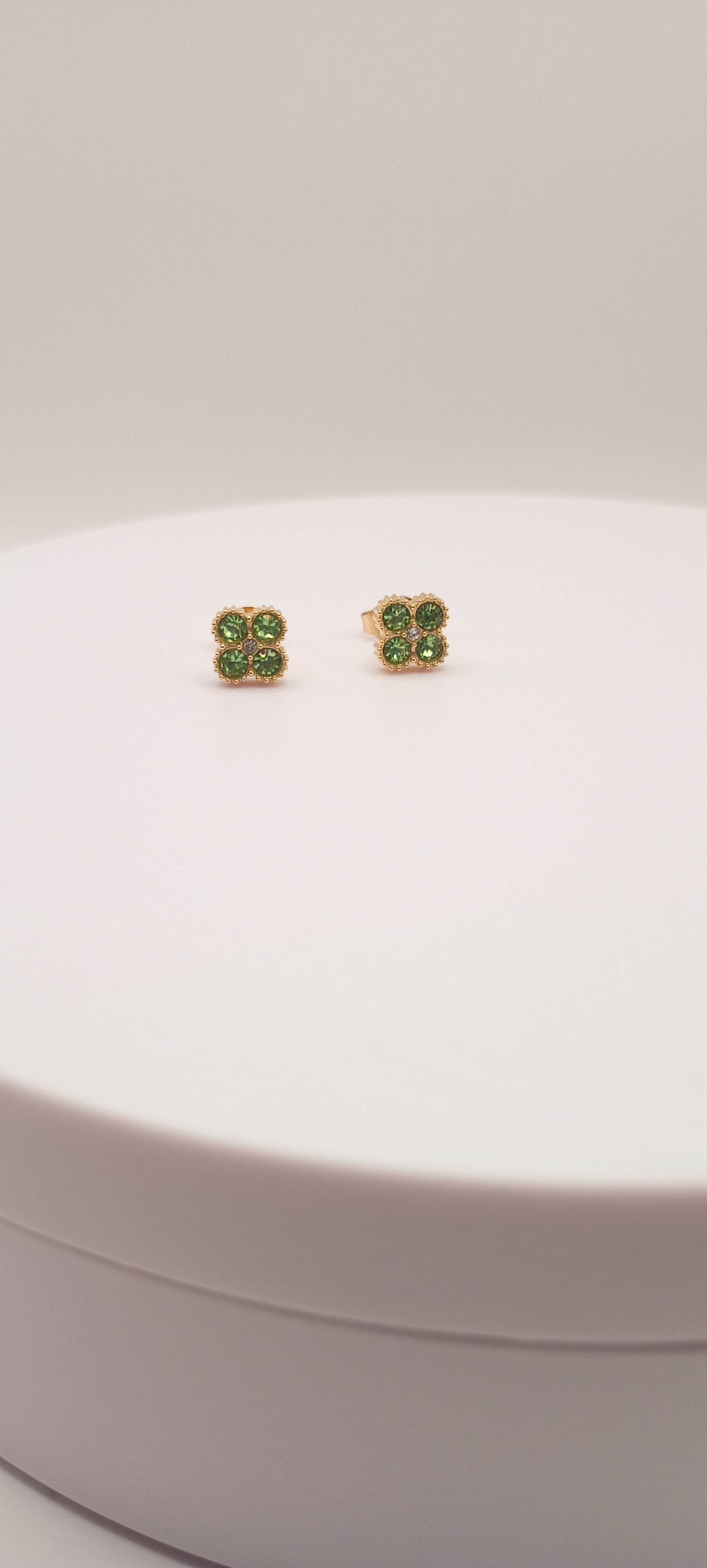 Puce d'oreilles espoir 💙💚❤️🖤