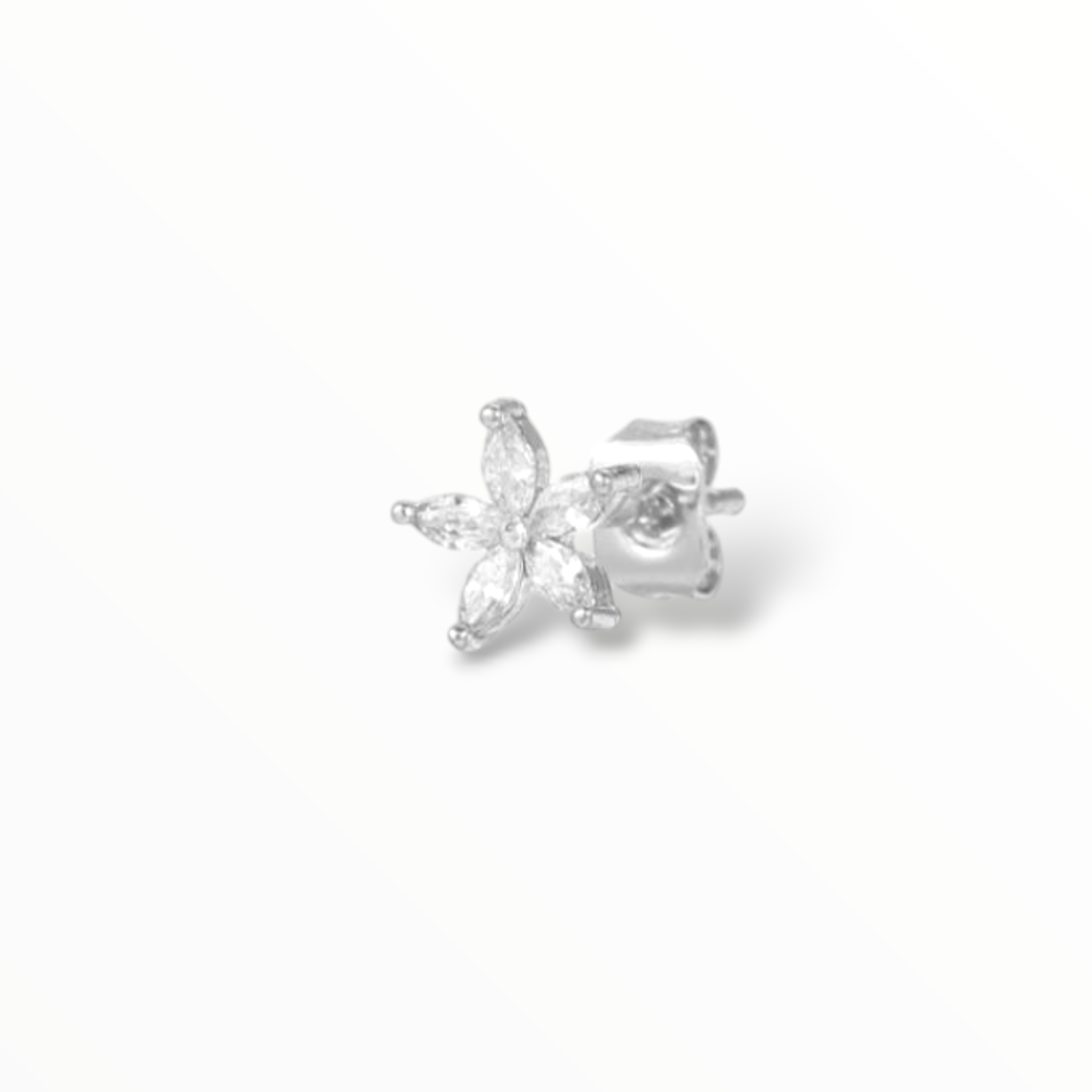 Puce d'oreille
