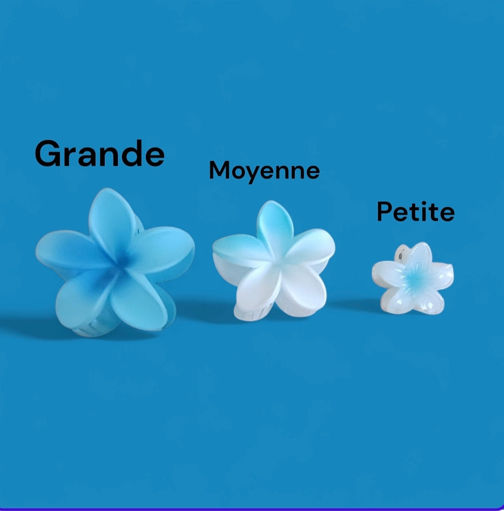 Pince polynésienne 🌺