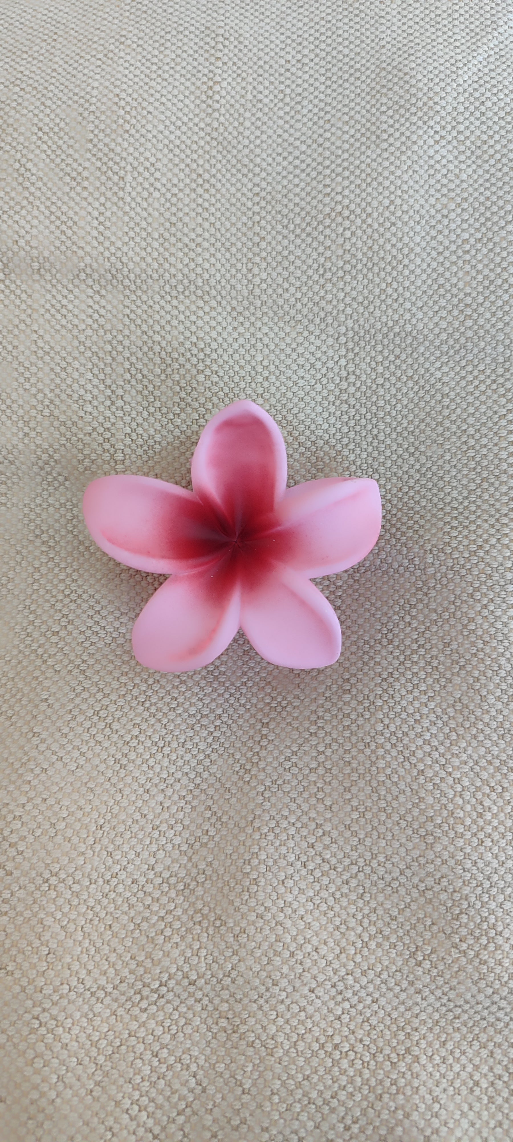 Pince moyenne peau de pêche 🍑