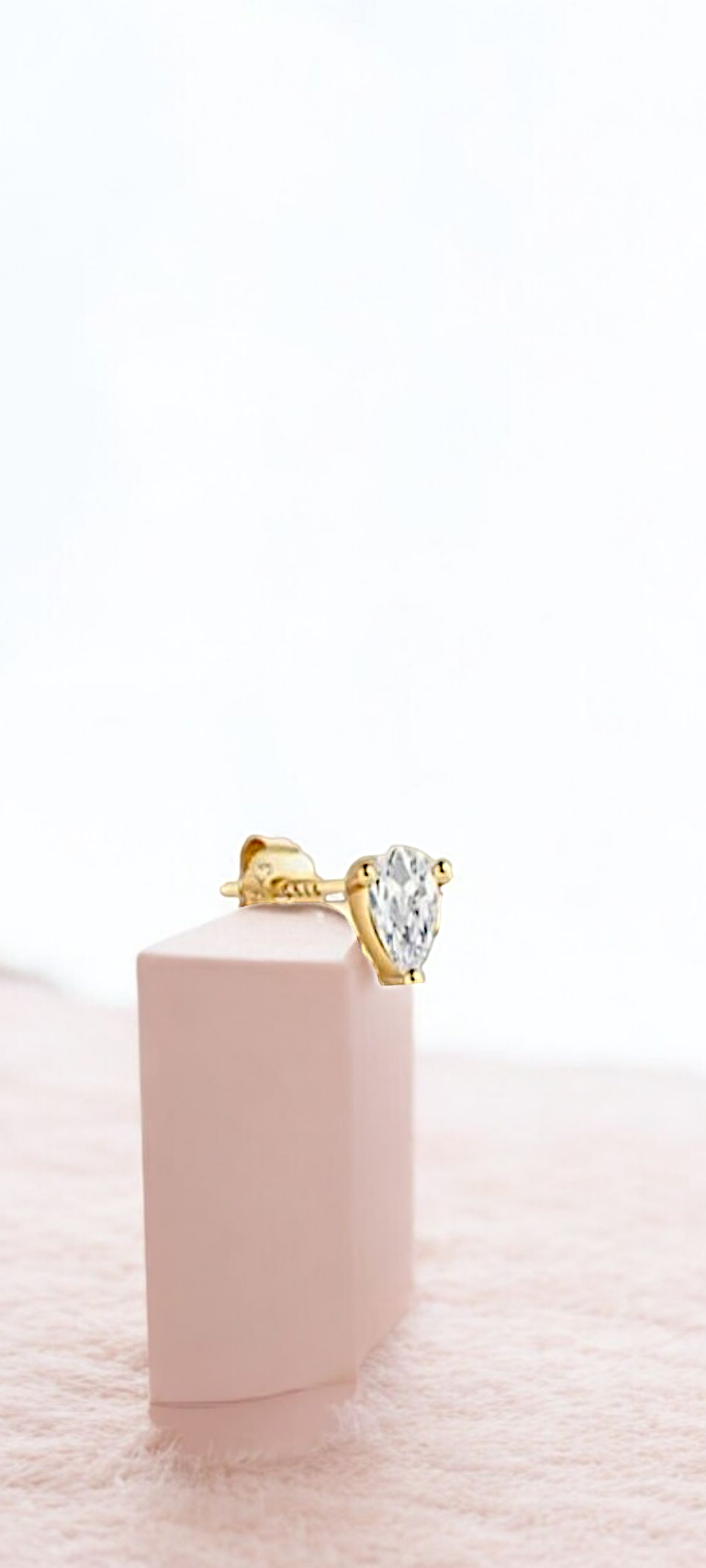 Puce d'oreille