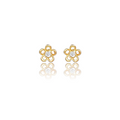Puce d'oreille