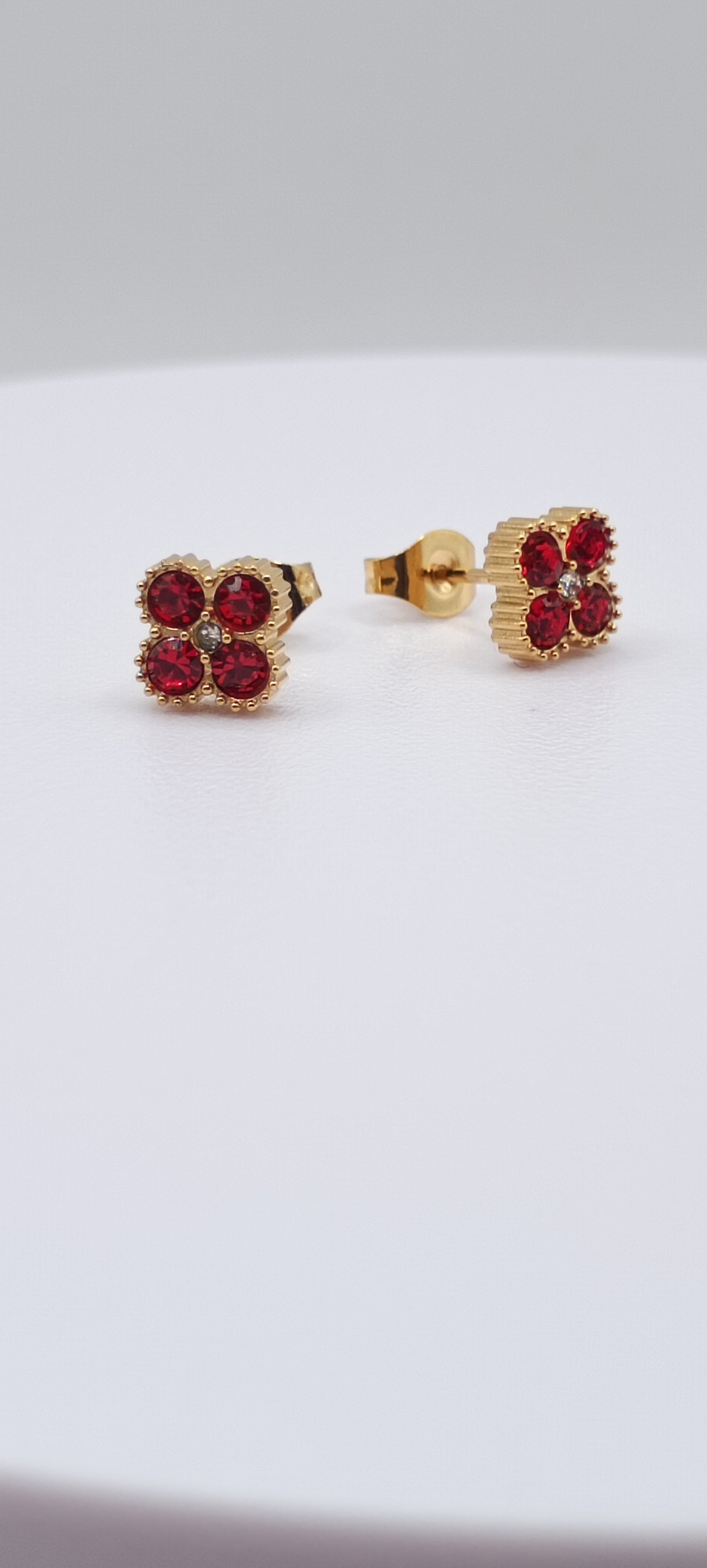 Puce d'oreilles espoir 💙💚❤️🖤