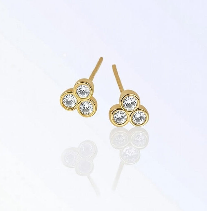 Puce d'oreille