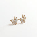 Puce d'oreilles