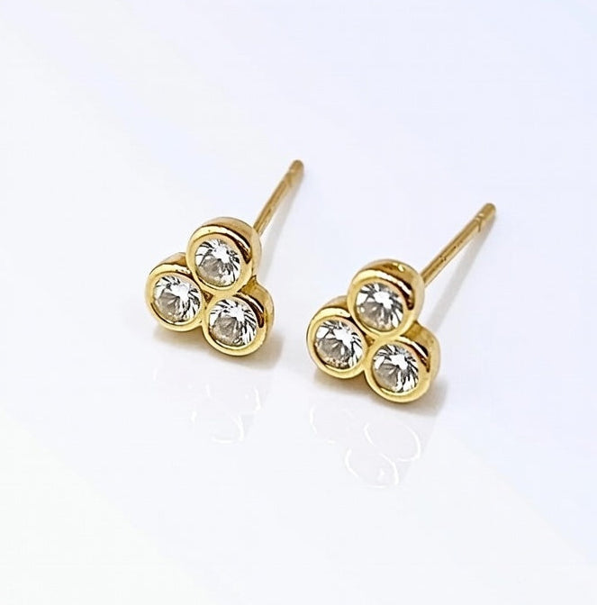 Puce d'oreille