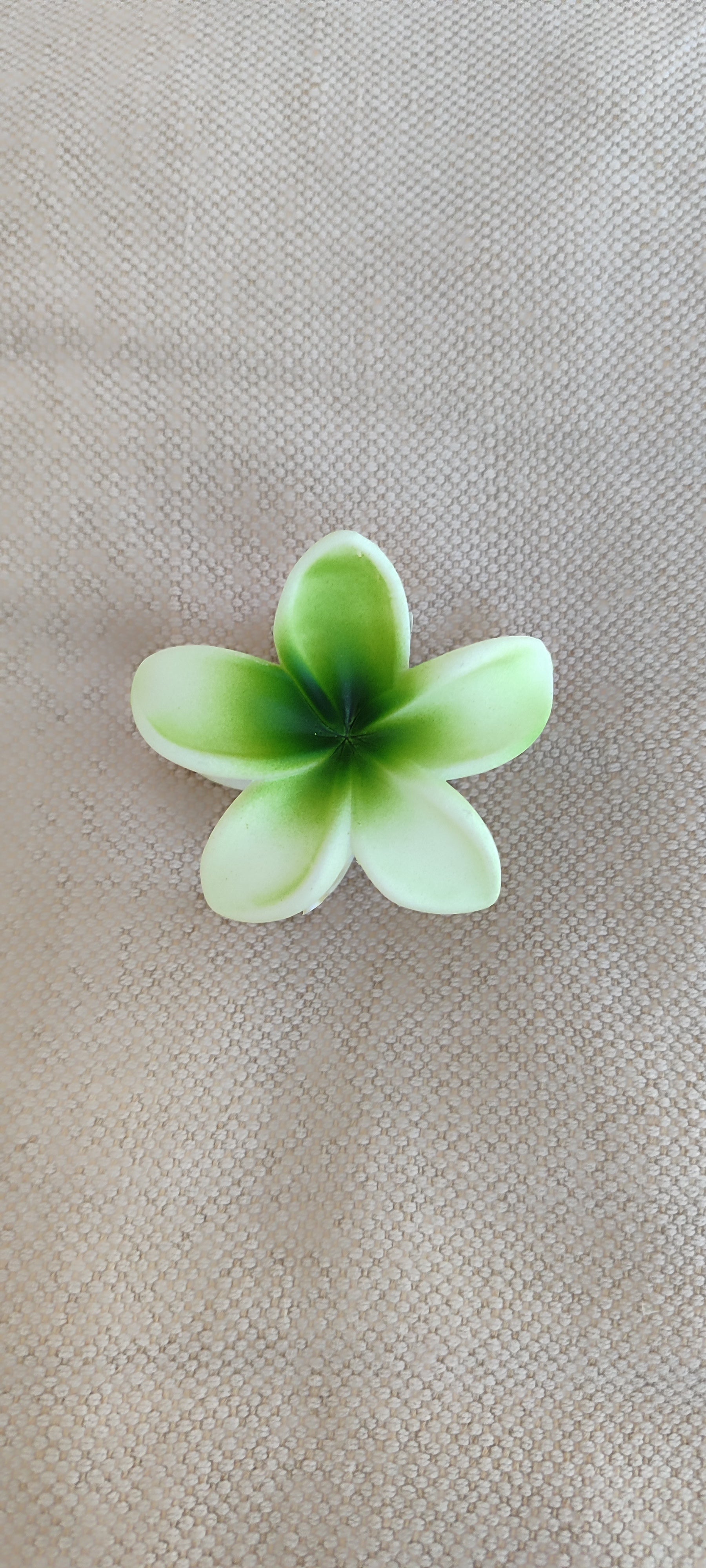 Pince moyenne peau de pêche 🍑