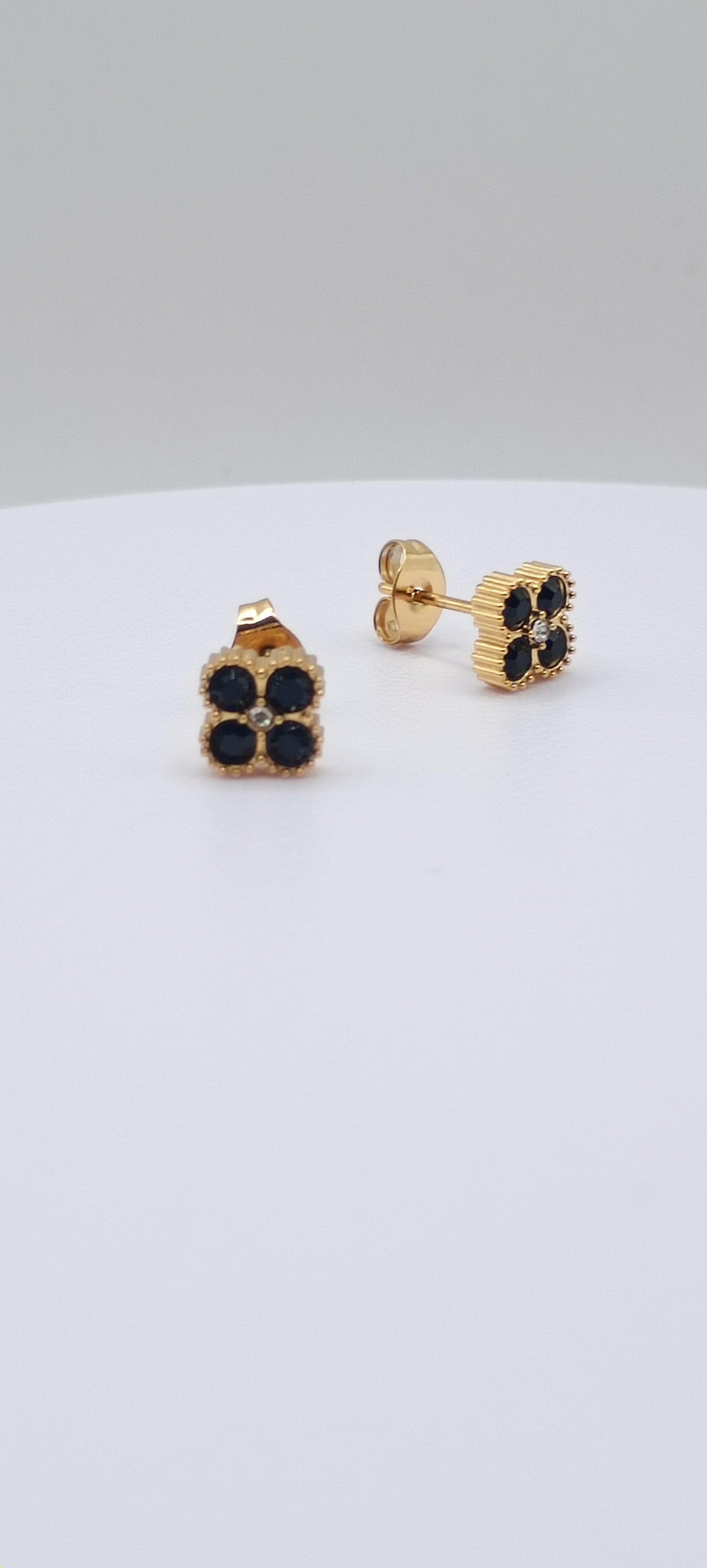Puce d'oreilles espoir 💙💚❤️🖤