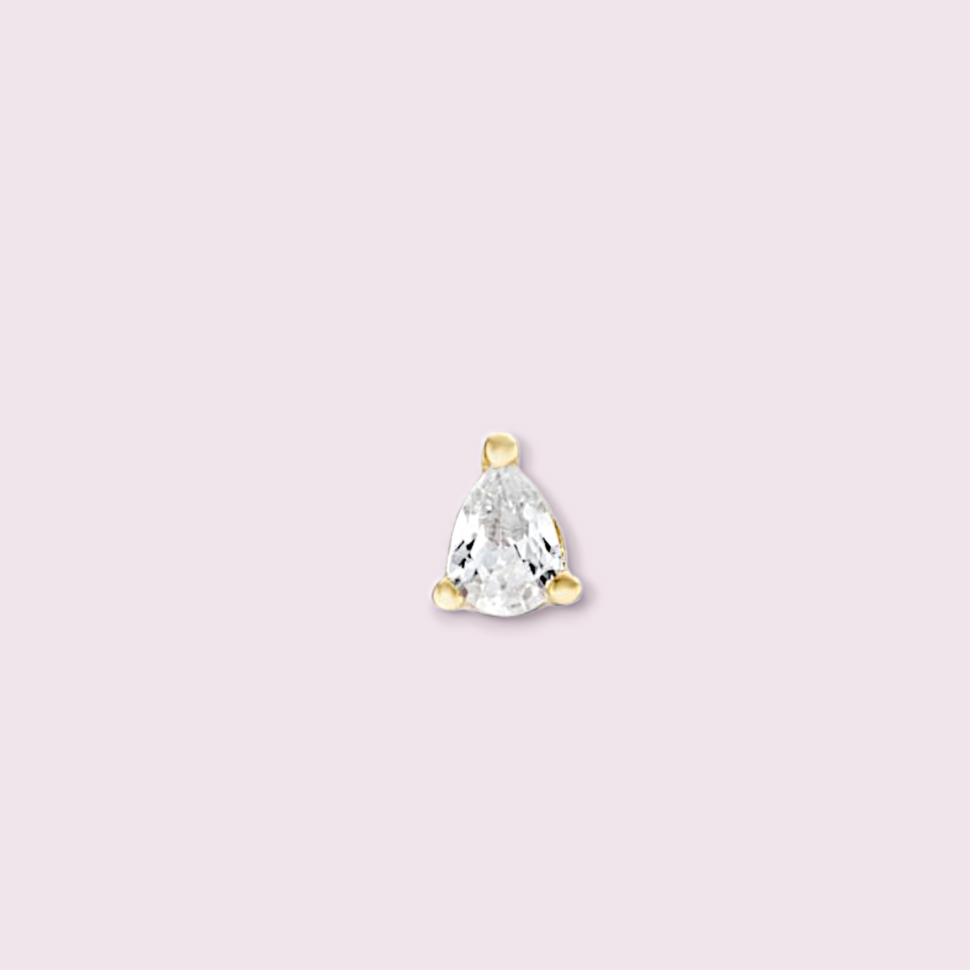 Puce d'oreille