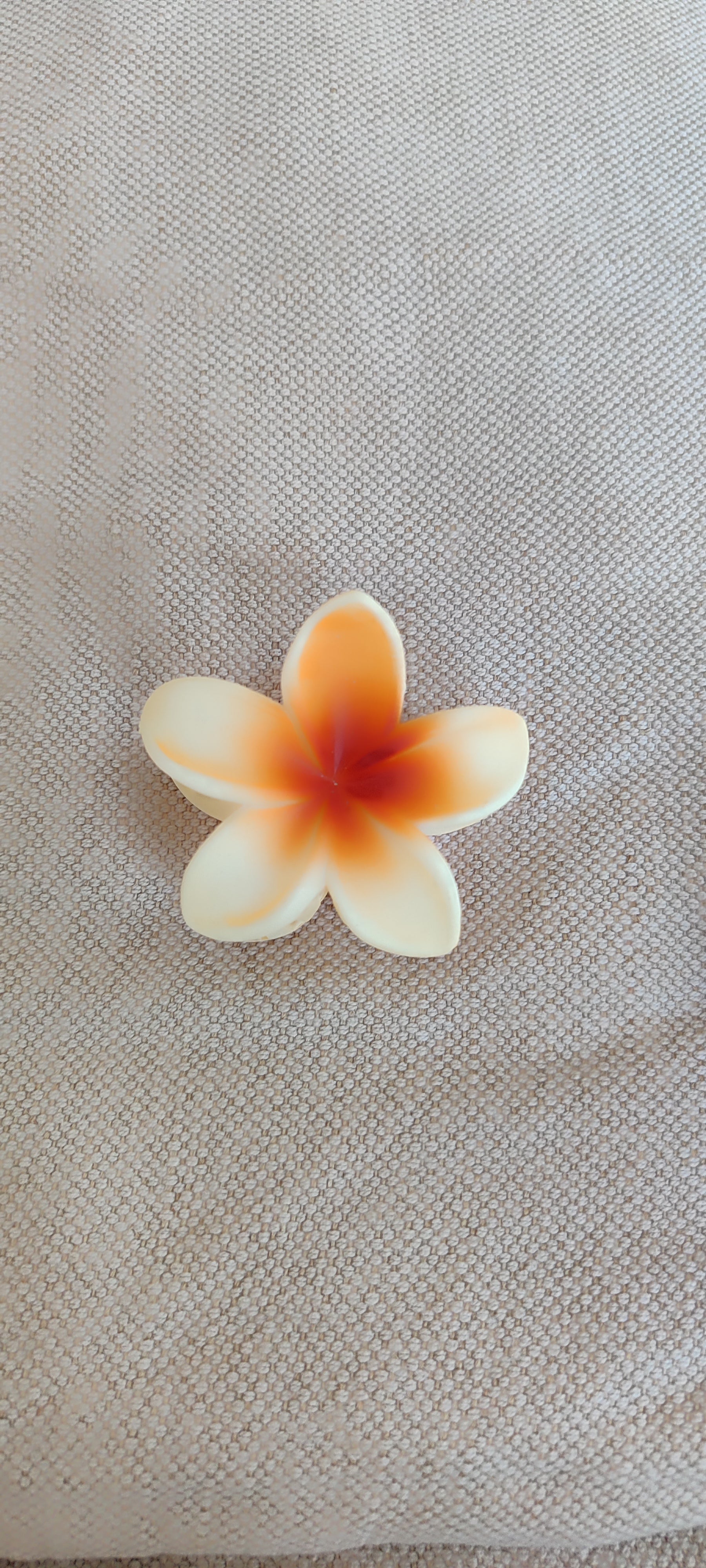 Pince moyenne peau de pêche 🍑